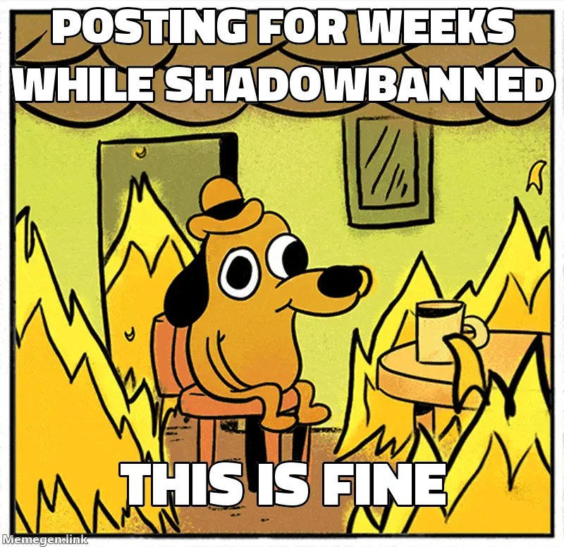 This is fine dog meme: posting for weeks while shadowbanned, this is fine.